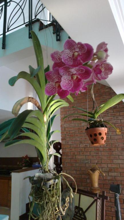 Flower Garden Homestay Hoi An Exterior foto